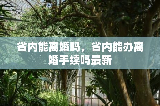 省内能离婚吗，省内能办离婚手续吗最新