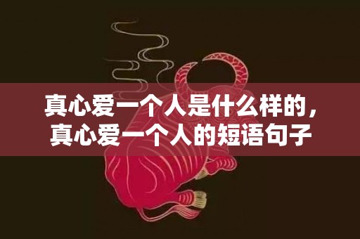 真心爱一个人是什么样的，真心爱一个人的短语句子