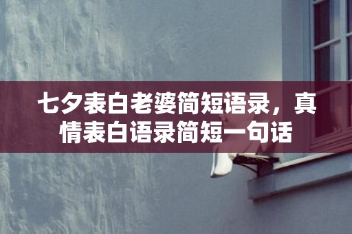 七夕表白老婆简短语录，真情表白语录简短一句话