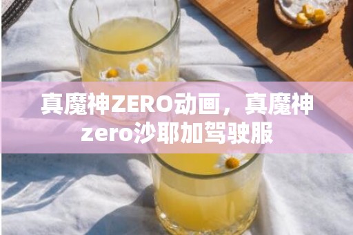 真魔神ZERO动画，真魔神zero沙耶加驾驶服