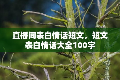 直播间表白情话短文，短文表白情话大全100字