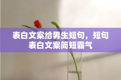 表白文案给男生短句，短句表白文案简短霸气