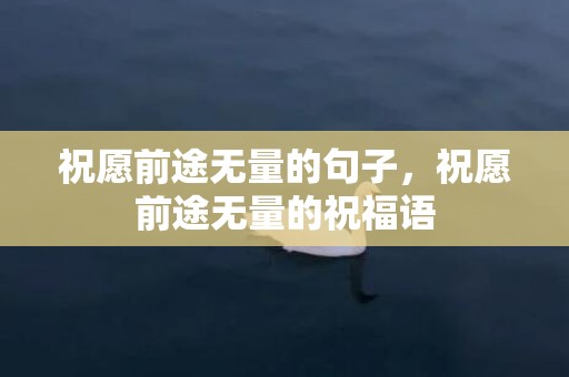 祝愿前途无量的句子，祝愿前途无量的祝福语