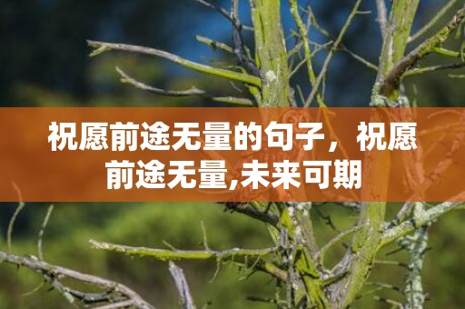 祝愿前途无量的句子，祝愿前途无量,未来可期