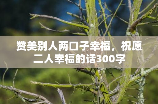 赞美别人两口子幸福，祝愿二人幸福的话300字