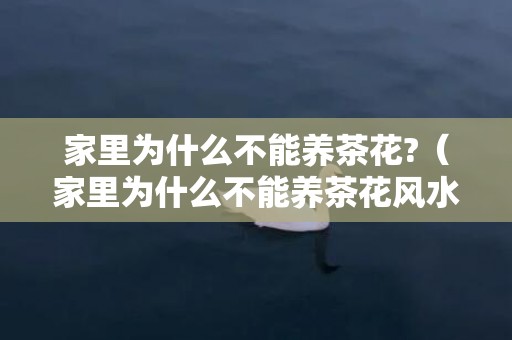 家里为什么不能养茶花?（家里为什么不能养茶花风水上的禁忌）