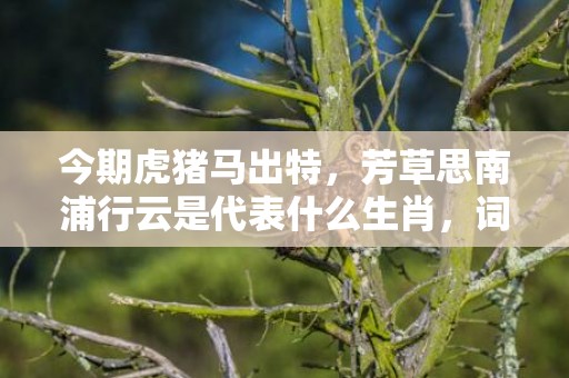 今期虎猪马出特，芳草思南浦行云是代表什么生肖，词语落实解释