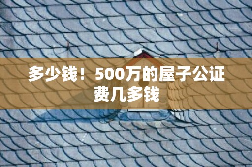 多少钱！500万的屋子公证费几多钱