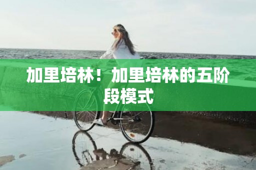 加里培林！加里培林的五阶段模式