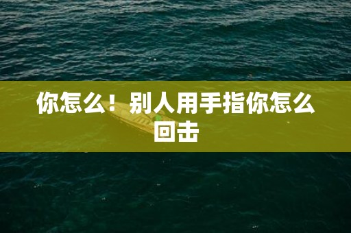 你怎么！别人用手指你怎么回击