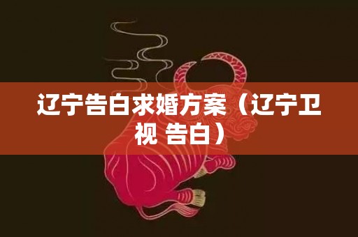 辽宁告白求婚方案（辽宁卫视 告白）