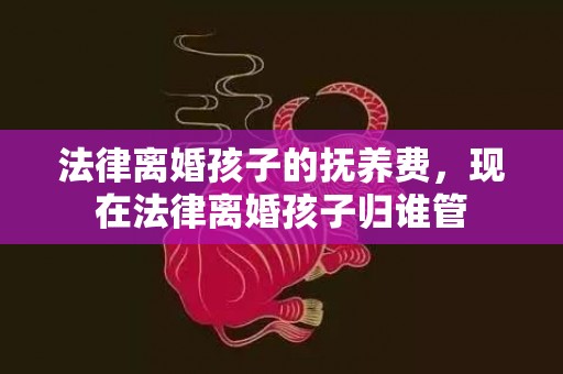 法律离婚孩子的抚养费，现在法律离婚孩子归谁管