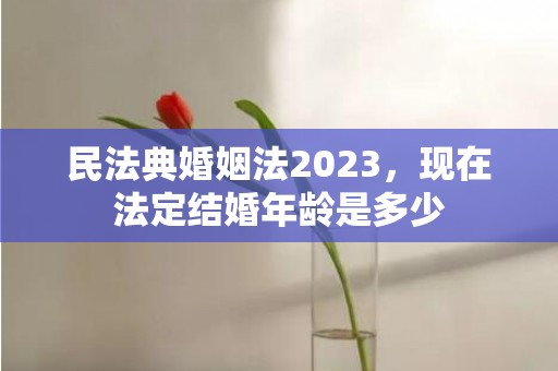 民法典婚姻法2023，现在法定结婚年龄是多少