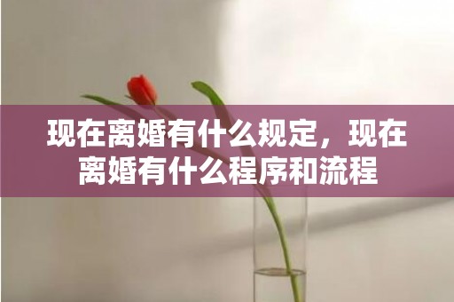 现在离婚有什么规定，现在离婚有什么程序和流程