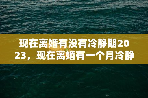 现在离婚有没有冷静期2023，现在离婚有一个月冷静期么