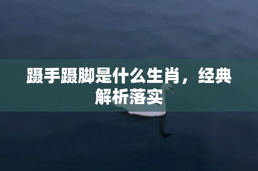 蹑手蹑脚是什么生肖，经典解析落实