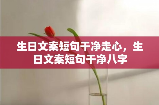 生日文案短句干净走心，生日文案短句干净八字