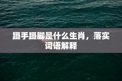 蹑手蹑脚是什么生肖，落实词语解释