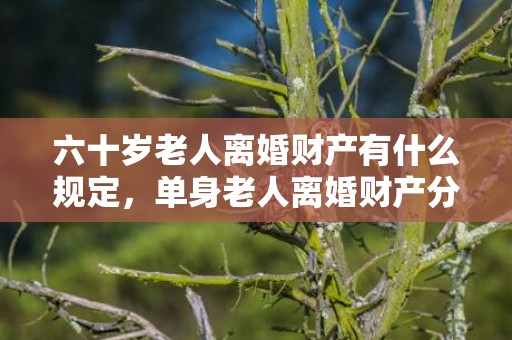 六十岁老人离婚财产有什么规定，单身老人离婚财产分割案例（单身老人怎么办）