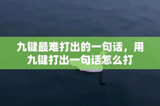 九键最难打出的一句话，用九键打出一句话怎么打