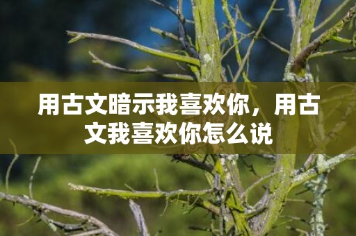 用古文暗示我喜欢你，用古文我喜欢你怎么说