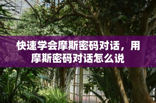 快速学会摩斯密码对话，用摩斯密码对话怎么说