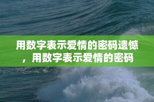 用数字表示爱情的密码遗憾，用数字表示爱情的密码