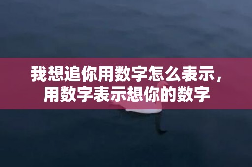 我想追你用数字怎么表示，用数字表示想你的数字