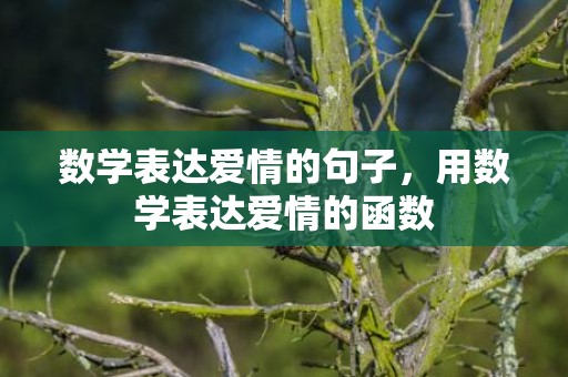 数学表达爱情的句子，用数学表达爱情的函数