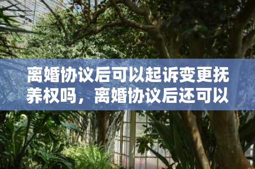 离婚协议后可以起诉变更抚养权吗，离婚协议后还可以起诉吗