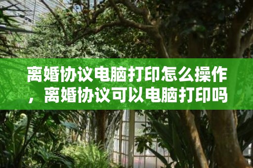 离婚协议电脑打印怎么操作，离婚协议可以电脑打印吗