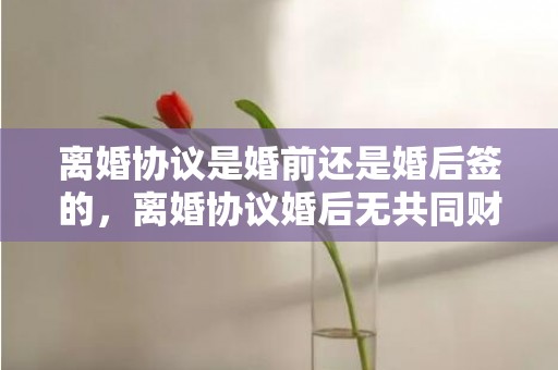 离婚协议是婚前还是婚后签的，离婚协议婚后无共同财产