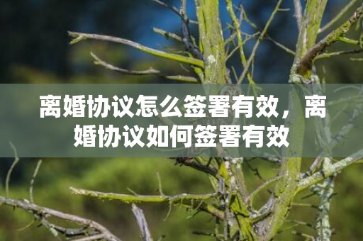 离婚协议怎么签署有效，离婚协议如何签署有效