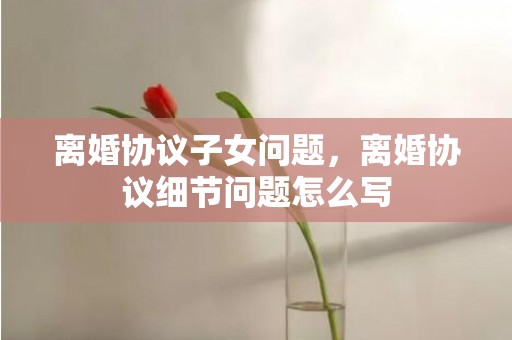 离婚协议子女问题，离婚协议细节问题怎么写