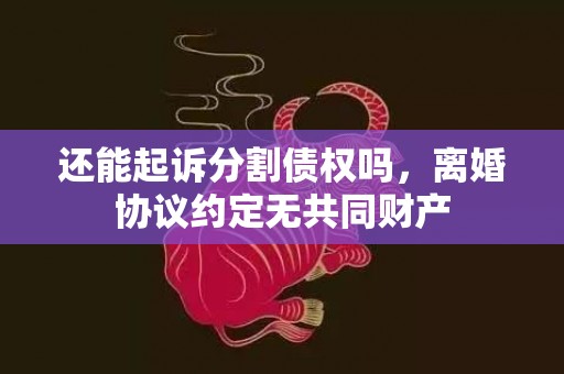 还能起诉分割债权吗，离婚协议约定无共同财产