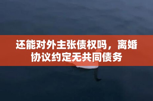 还能对外主张债权吗，离婚协议约定无共同债务