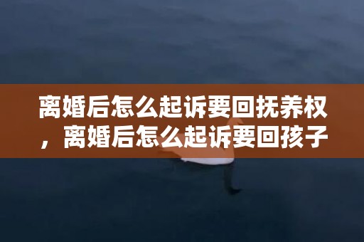 离婚后怎么起诉要回抚养权，离婚后怎么起诉要回孩子