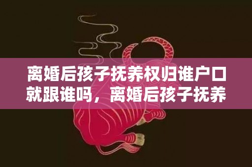 离婚后孩子抚养权归谁户口就跟谁吗，离婚后孩子抚养权方不履行