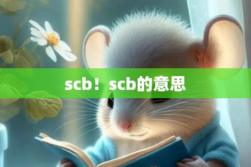 scb！scb的意思