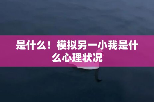 是什么！模拟另一小我是什么心理状况