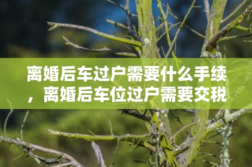 离婚后车过户需要什么手续，离婚后车位过户需要交税吗