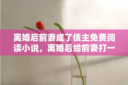 离婚后前妻成了债主免费阅读小说，离婚后给前妻打一百万欠条