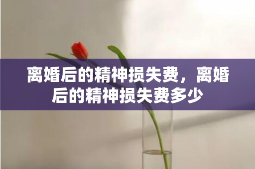 离婚后的精神损失费，离婚后的精神损失费多少