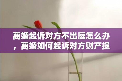 离婚起诉对方不出庭怎么办，离婚如何起诉对方财产损失