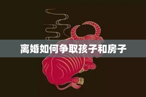 离婚如何争取孩子和房子