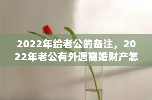 2022年给老公的备注，2022年老公有外遇离婚财产怎么分(老公有外遇离婚财产怎么分还有孩子)