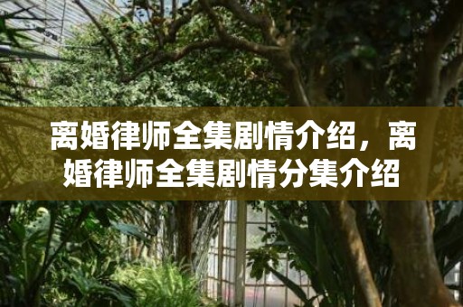 离婚律师全集剧情介绍，离婚律师全集剧情分集介绍