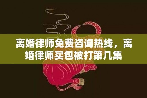 离婚律师免费咨询热线，离婚律师买包被打第几集