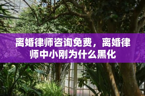 离婚律师咨询免费，离婚律师中小刚为什么黑化