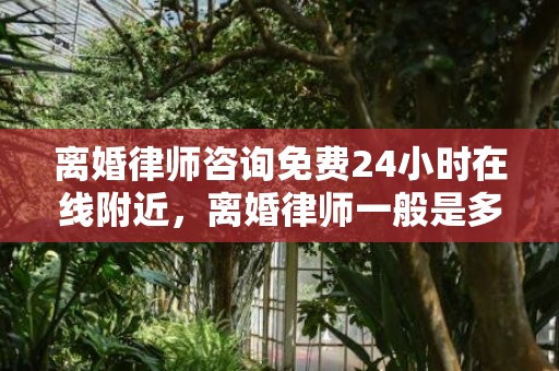 离婚律师咨询免费24小时在线附近，离婚律师一般是多少钱一次